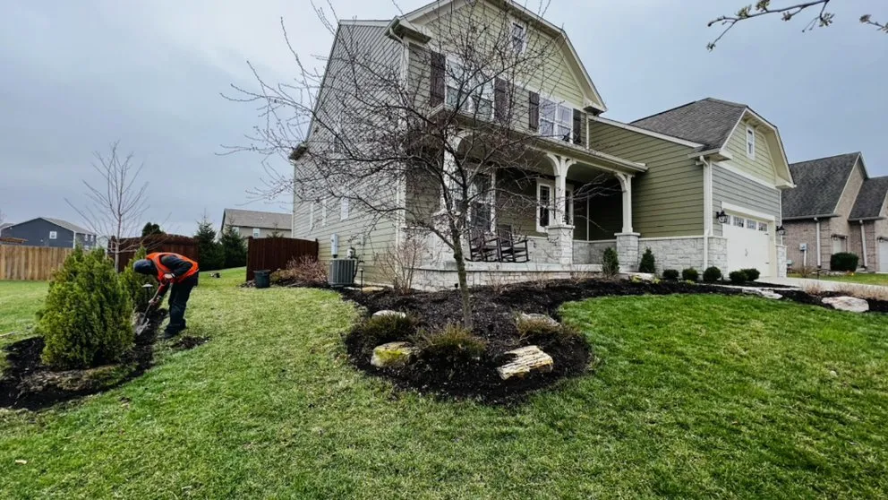 Local yard cleanup service experts serving Westfield, IN - Jorge Sanchez