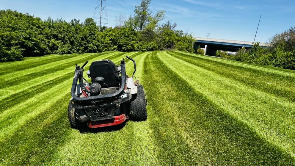 Reliable landscape design experts serving Westfield, IN - Jorge Sanchez