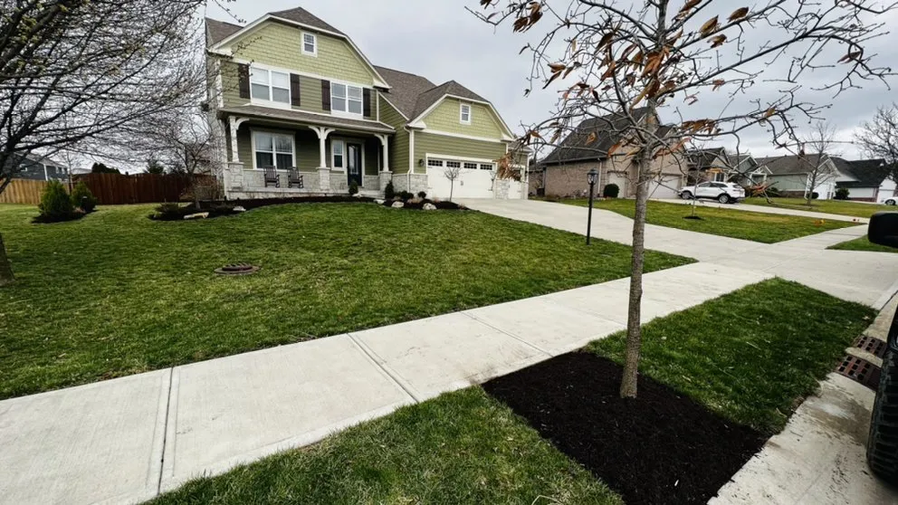 Professional yard cleanup service for residential properties across Westfield, IN - Jorge Sanchez