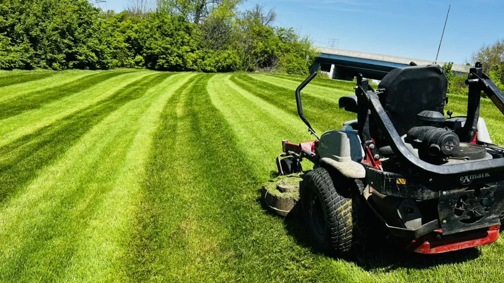 Local garden landscaping experts serving Westfield, IN - Jorge Sanchez