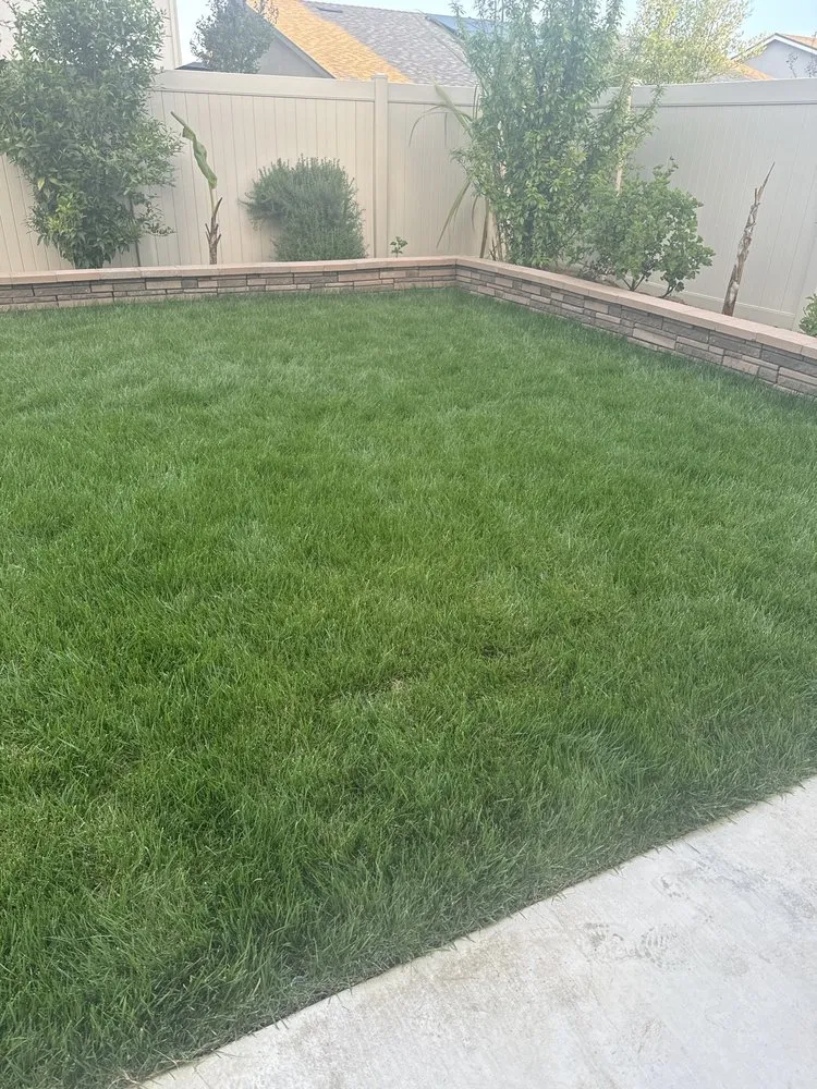 Local yard cleanup service near you in Ripon, CA by Jorge Tacias Landscape Service