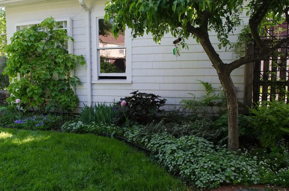 Local lawn care service experts serving Somerville, MA - Jorgenson Landscaping Services