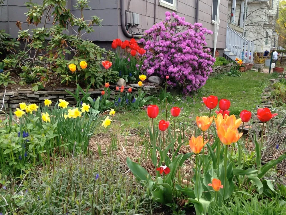 Custom lawn care service in Somerville, MA - Jorgenson Landscaping Services