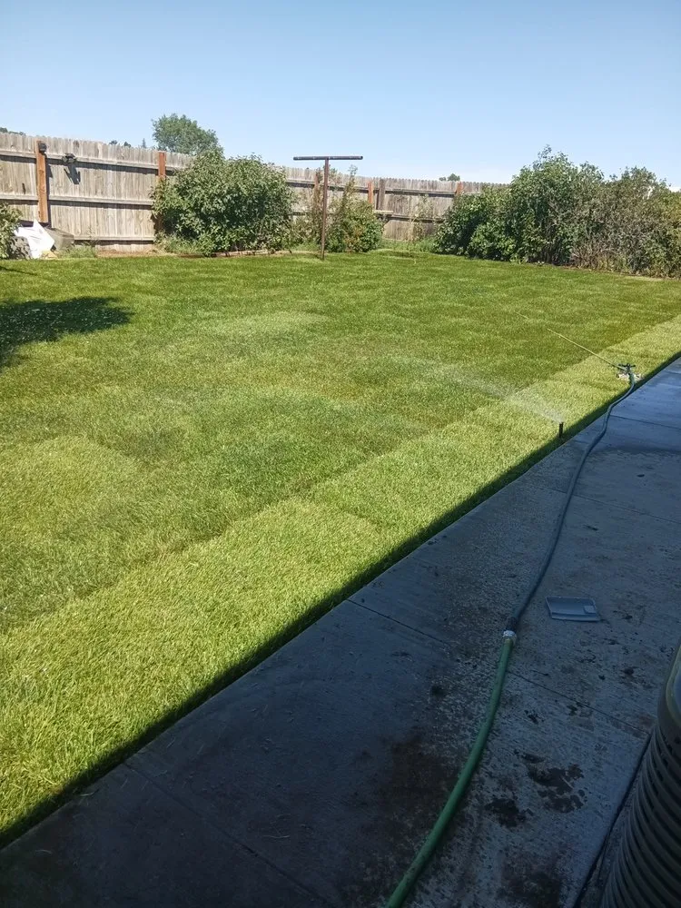 Affordable yard maintenance in Colorado Springs, CO - Jorges Concrete and Landscaping