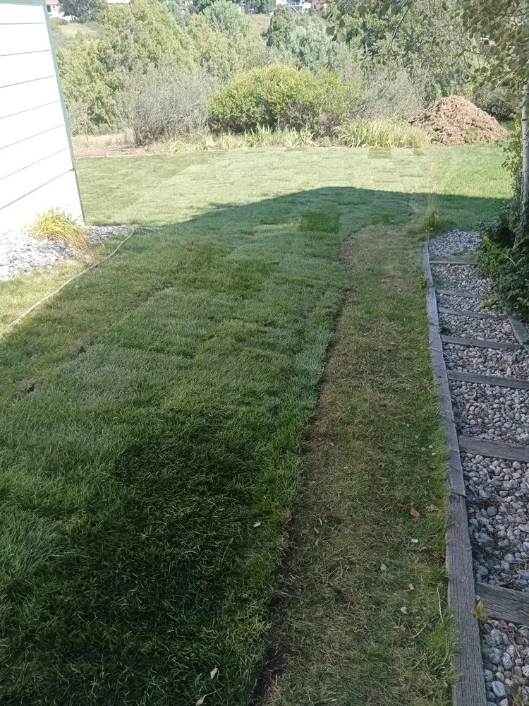 Professional residential landscaping for beautiful yards across Colorado Springs, CO - Jorges Concrete and Landscaping