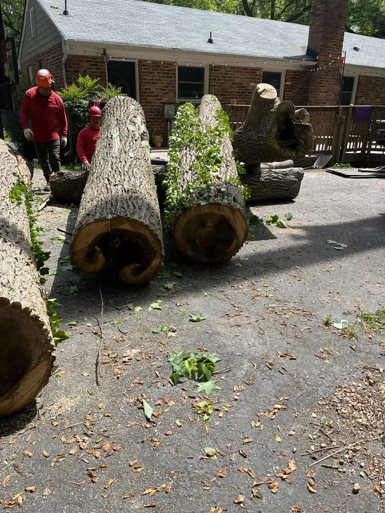 Reliable yard cleanup service for beautiful yards in Richmond, VA by Jorge's Landscaping & Tree Service