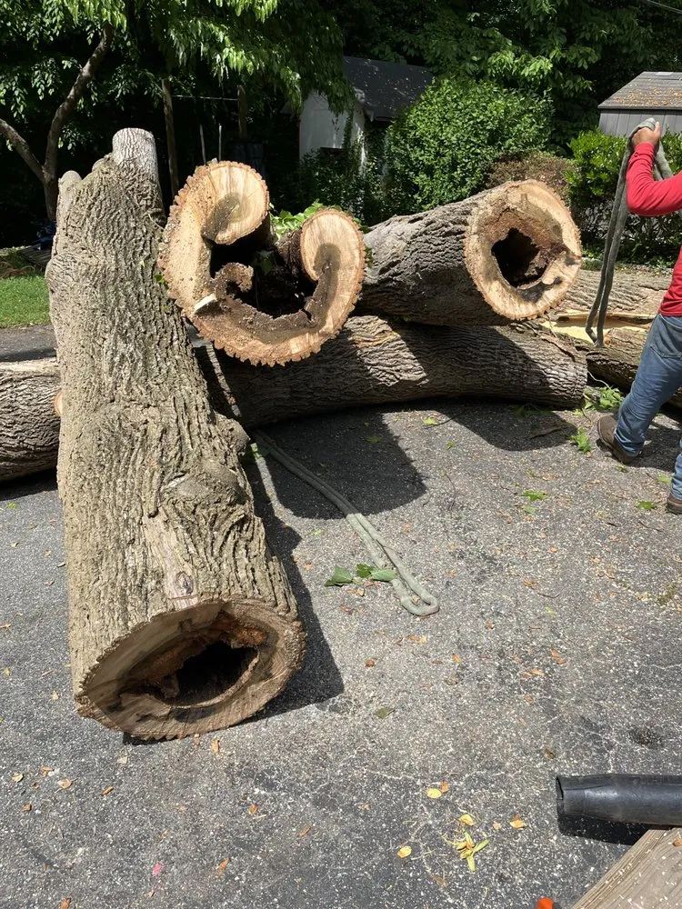 Professional residential landscaping in Richmond, VA - Jorge's Landscaping & Tree Service