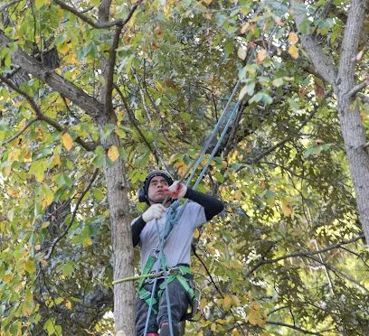 Reliable landscape design experts serving Richmond, VA - Jorge's Landscaping & Tree Service