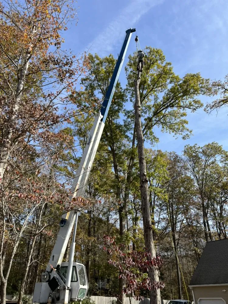 Expert lawn mowing service for homes across Richmond, VA - Jorge's Landscaping & Tree Service