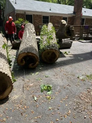 Jorge's Landscaping & Tree Service Logo