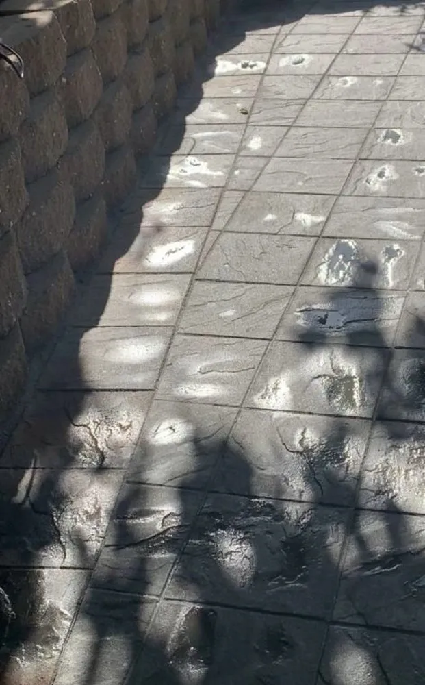 Top-rated landscaping services in Bay Point, CA by Jorge’s Landscaping