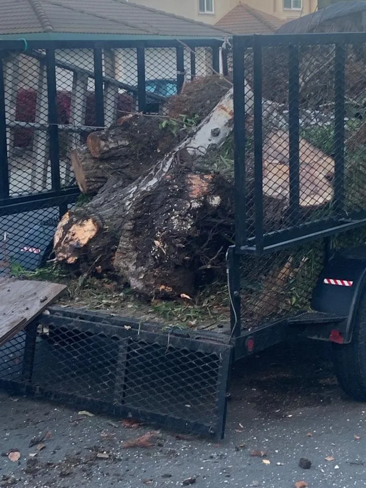 Expert landscape design for residential properties across Bay Point, CA - Jorge’s Landscaping