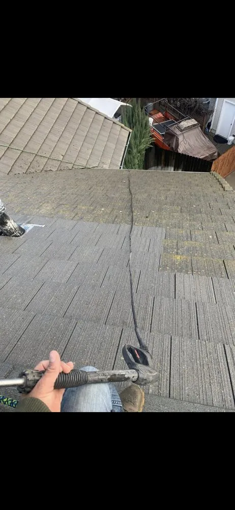 Trusted yard maintenance for homes across Bay Point, CA - Jorge’s Landscaping