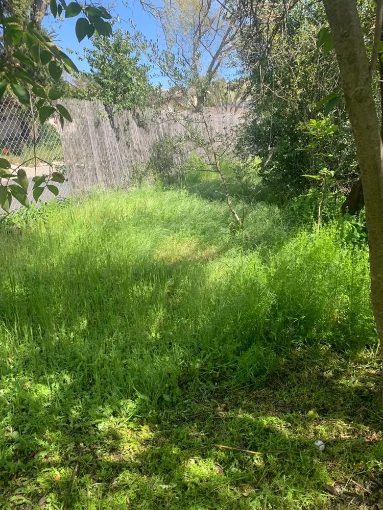 Local residential landscaping in Bay Point, CA by Jorge’s Landscaping