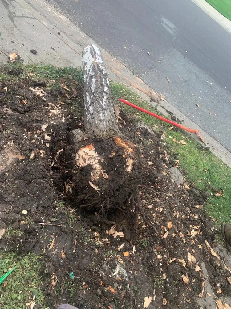 Expert lawn mowing service for outdoor upgrades across Bay Point, CA - Jorge’s Landscaping