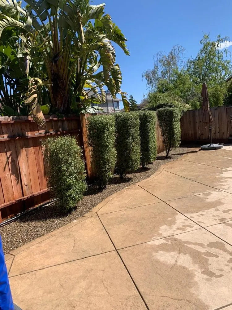Trusted landscape installation for year-round maintenance in Bay Point, CA by Jorge’s Landscaping