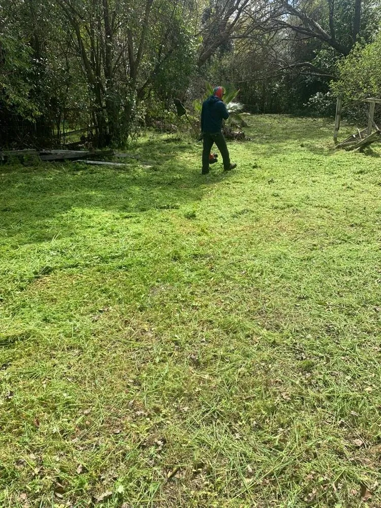 Professional yard cleanup service in Bay Point, CA - Jorge’s Landscaping