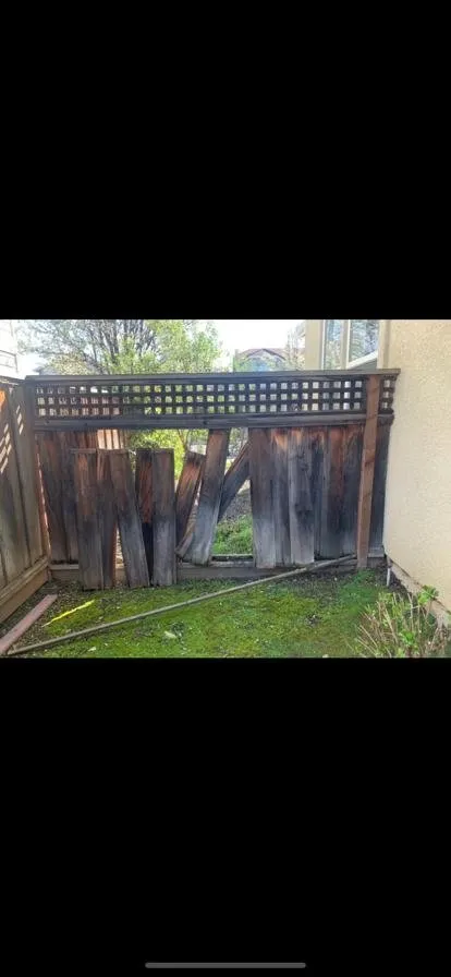 Professional landscape design experts serving Bay Point, CA - Jorge’s Landscaping