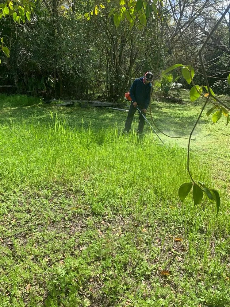 Expert yard maintenance for homes in Bay Point, CA by Jorge’s Landscaping