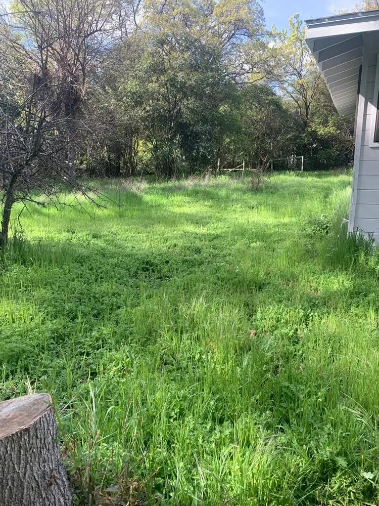 Local lawn care service for outdoor upgrades in Bay Point, CA by Jorge’s Landscaping