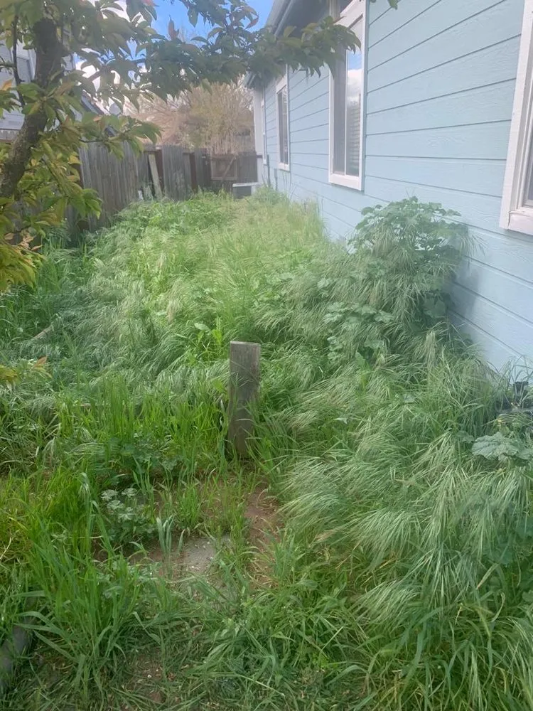 Affordable landscape installation experts serving Bay Point, CA - Jorge’s Landscaping