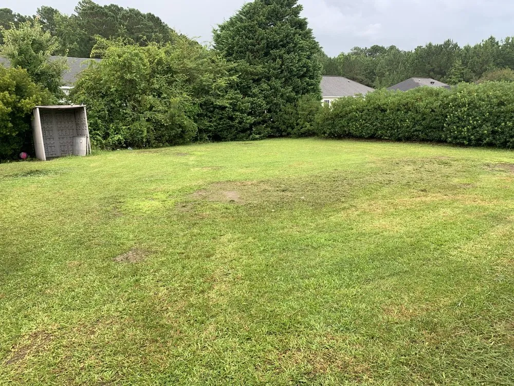 Professional landscape installation experts serving Conway, SC - Jorge’s Landscaping