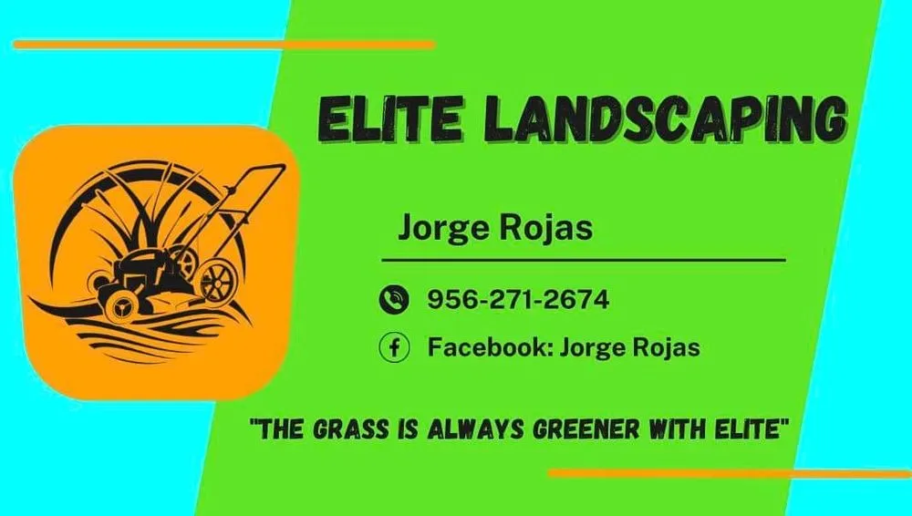 Professional lawn care service for beautiful yards in Conway, SC by Jorge’s Landscaping