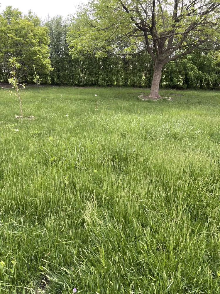 Affordable residential landscaping in Hanover Park, IL - Jorge’s Landscaping