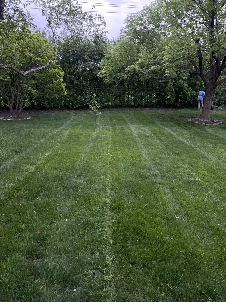 Reliable yard maintenance for beautiful yards across Hanover Park, IL - Jorge’s Landscaping
