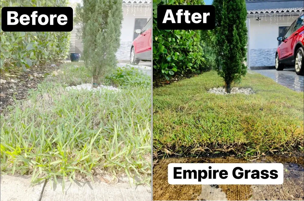 Expert landscaping services experts serving Miami, FL - Jorge’s Landscaping