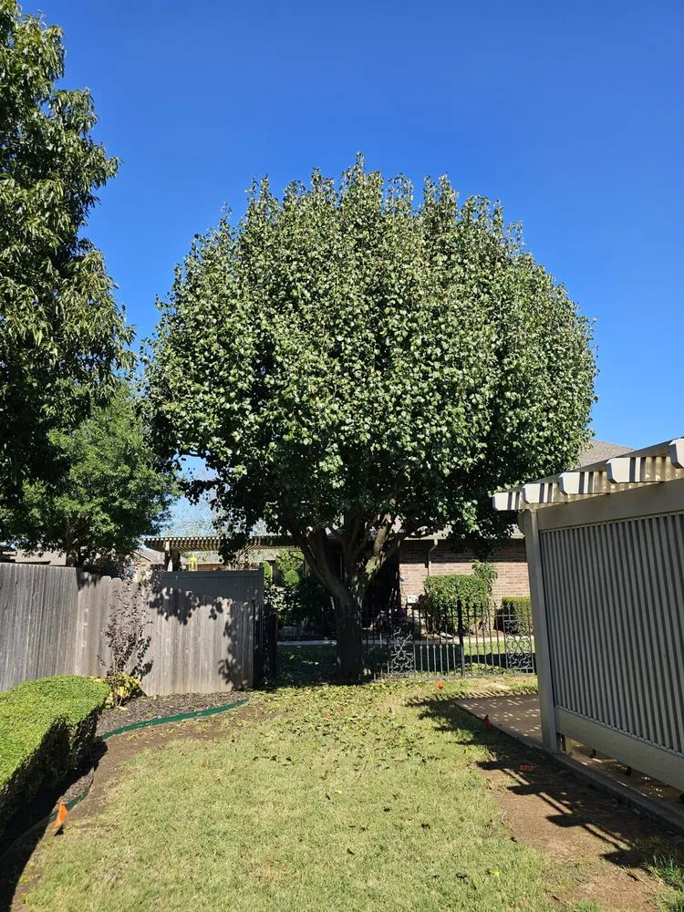 Expert residential landscaping with custom design across Yukon, OK - Jorge's Lawn Care and Landscape