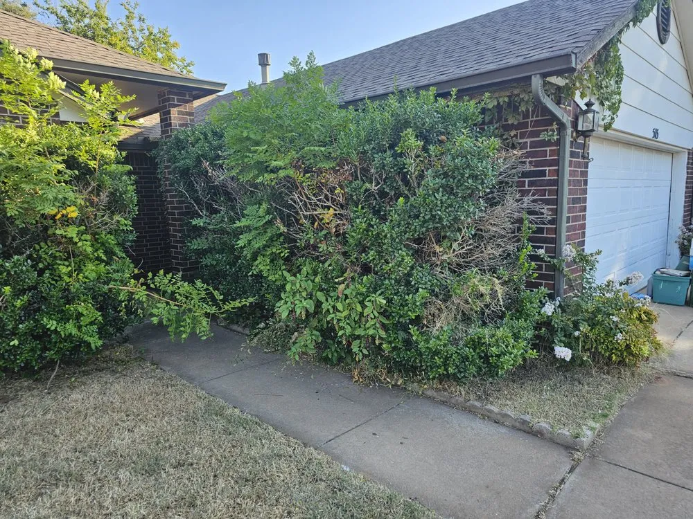 Expert yard cleanup service experts serving Yukon, OK - Jorge's Lawn Care and Landscape