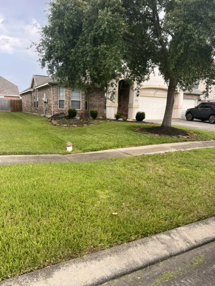 Top-rated lawn care service experts serving Houston, TX - Jorge’s Lawn Care