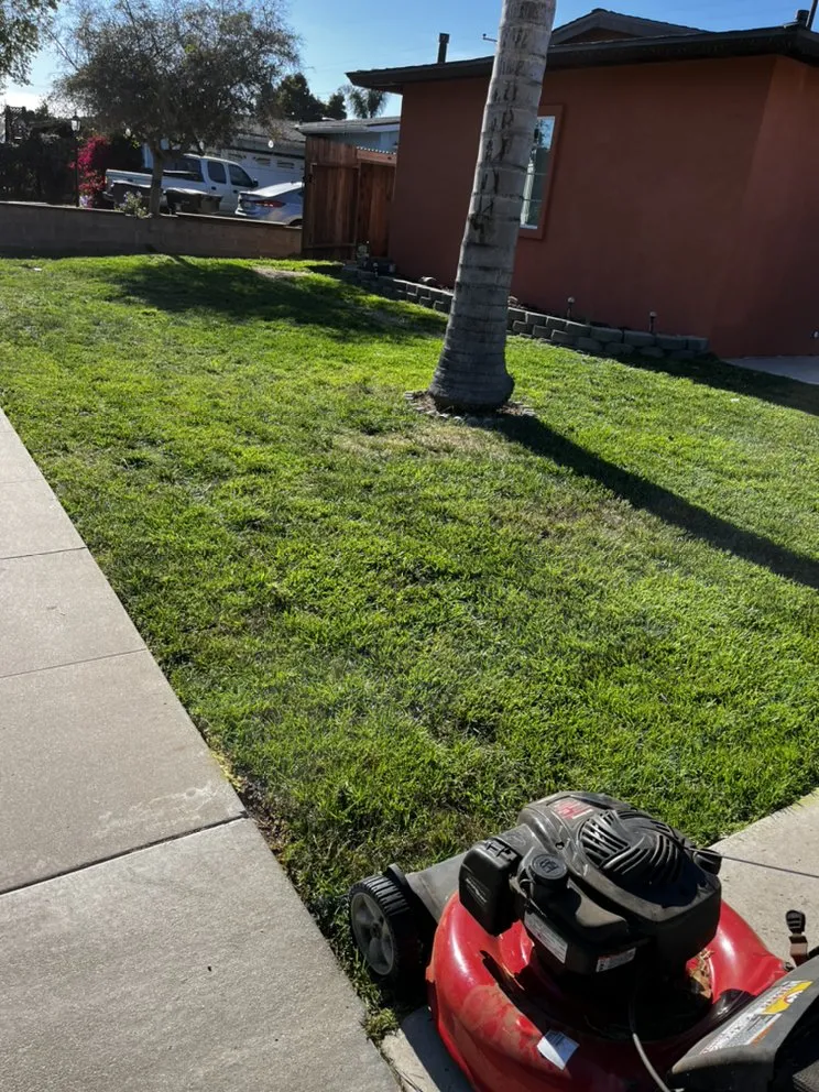 Affordable garden landscaping in Santa Maria, CA by Jorge's Lawn Care