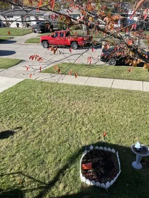 Jorge’s Lawn Maintenance Logo