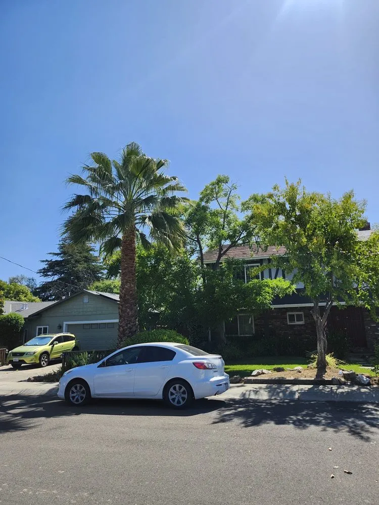 Professional landscape design for residential properties in San Jose, CA by Jorges Maintenance