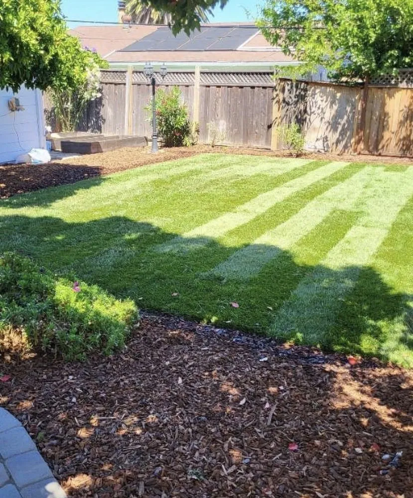 Professional garden landscaping experts serving San Jose, CA - Jorges Maintenance