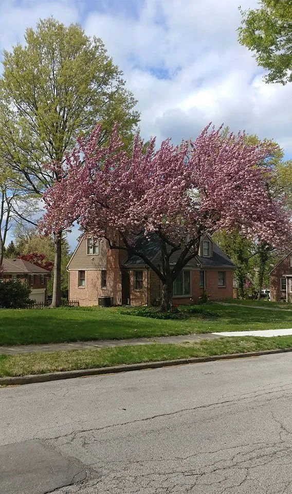 Expert outdoor landscaping in York, PA - Jorge's Tree Service