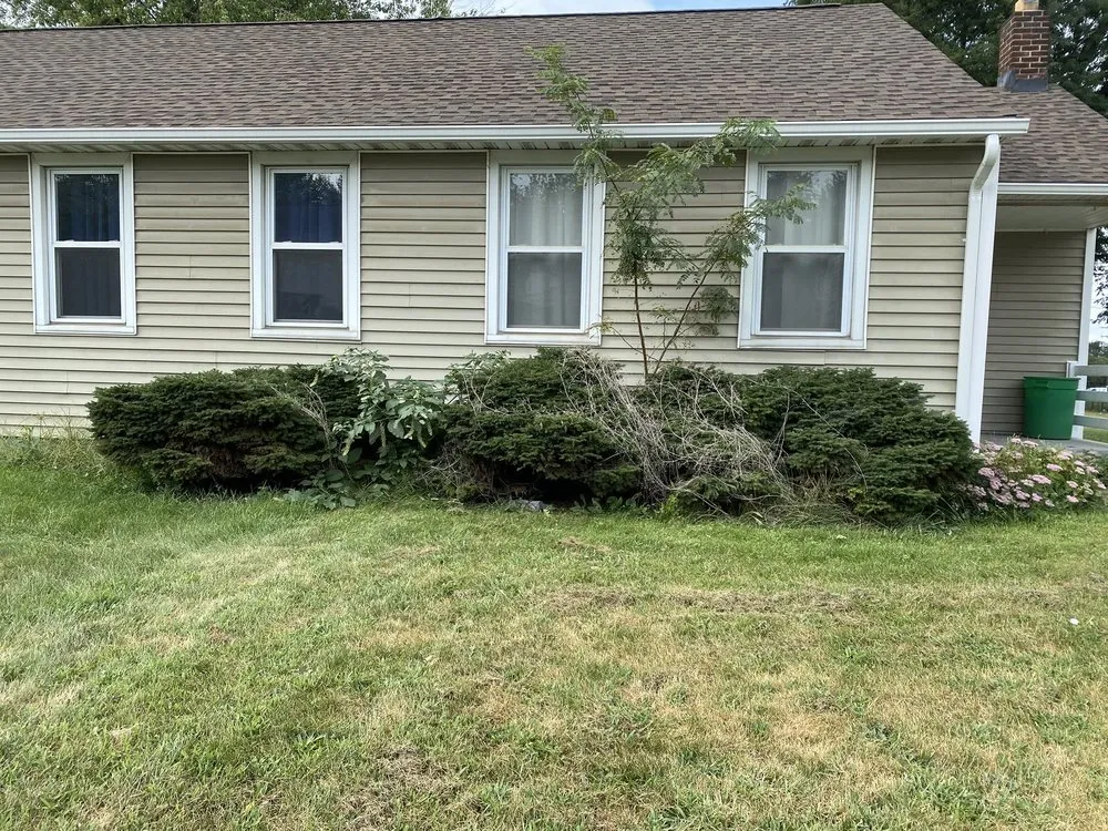 Trusted lawn mowing service in York, PA - Jorge's Tree Service