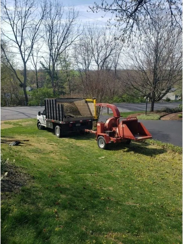Affordable yard maintenance in York, PA by Jorge's Tree Service