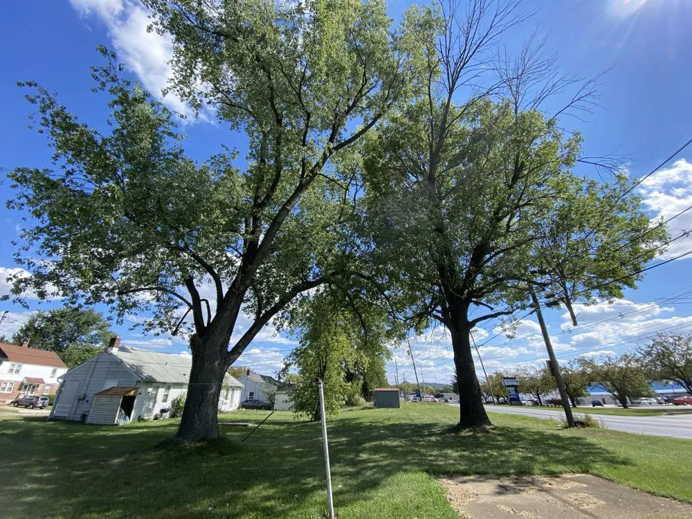 Trusted yard cleanup service in York, PA - Jorge's Tree Service