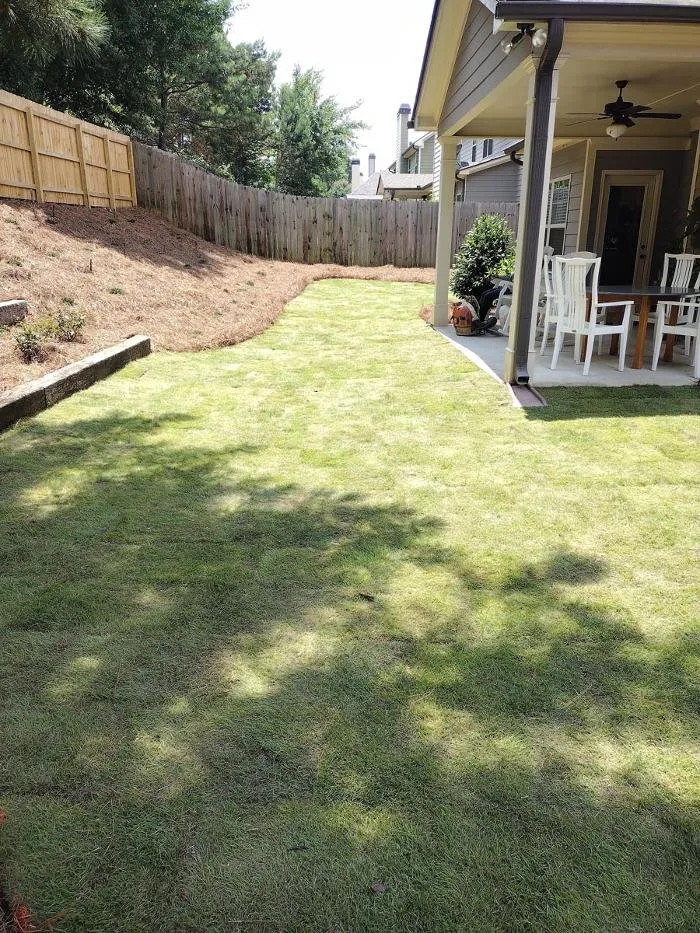 Local yard cleanup service experts serving Athens, GA - JorgeScapes