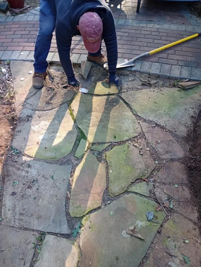 Affordable yard cleanup service experts serving Athens, GA - JorgeScapes