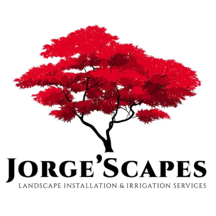 Custom residential landscaping in Athens, GA - JorgeScapes