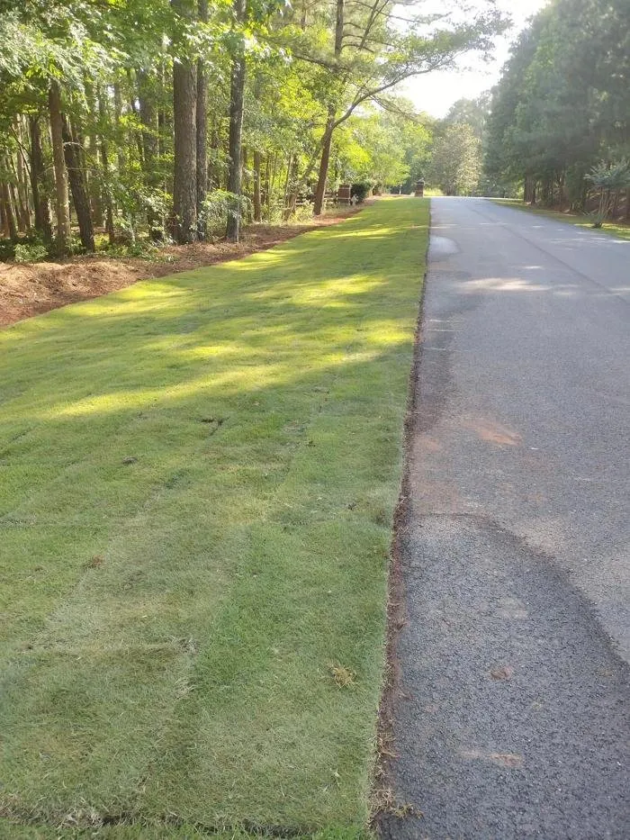 Custom landscaping services for beautiful yards across Athens, GA - JorgeScapes