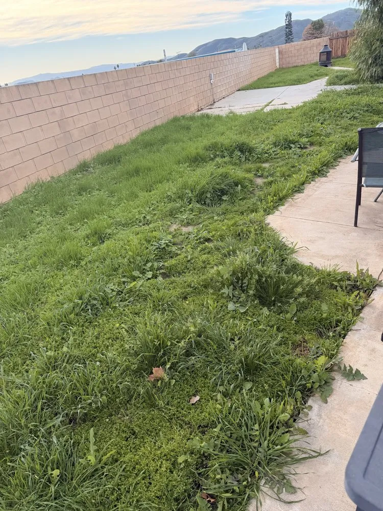 Affordable yard cleanup service for homes across Sun City, CA - Jos Iron Blade Lawn Care