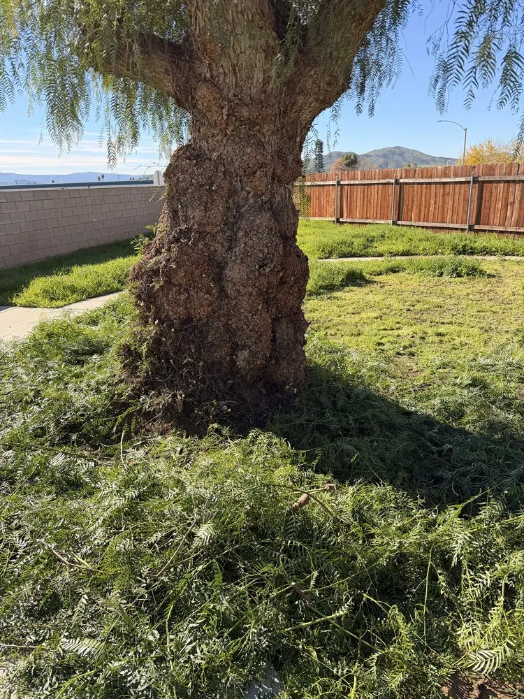 Top-rated residential landscaping for year-round maintenance across Sun City, CA - Jos Iron Blade Lawn Care