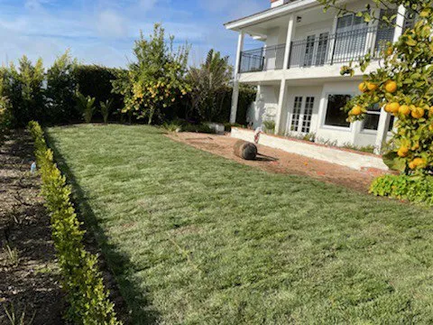 Affordable garden landscaping for homes in Murrieta, CA by José Landscaping & design