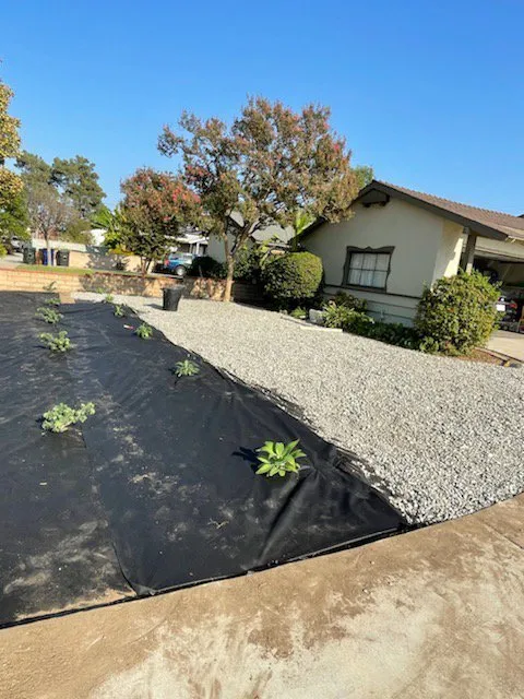 Top-rated landscaping services for beautiful yards across Murrieta, CA - José Landscaping & design