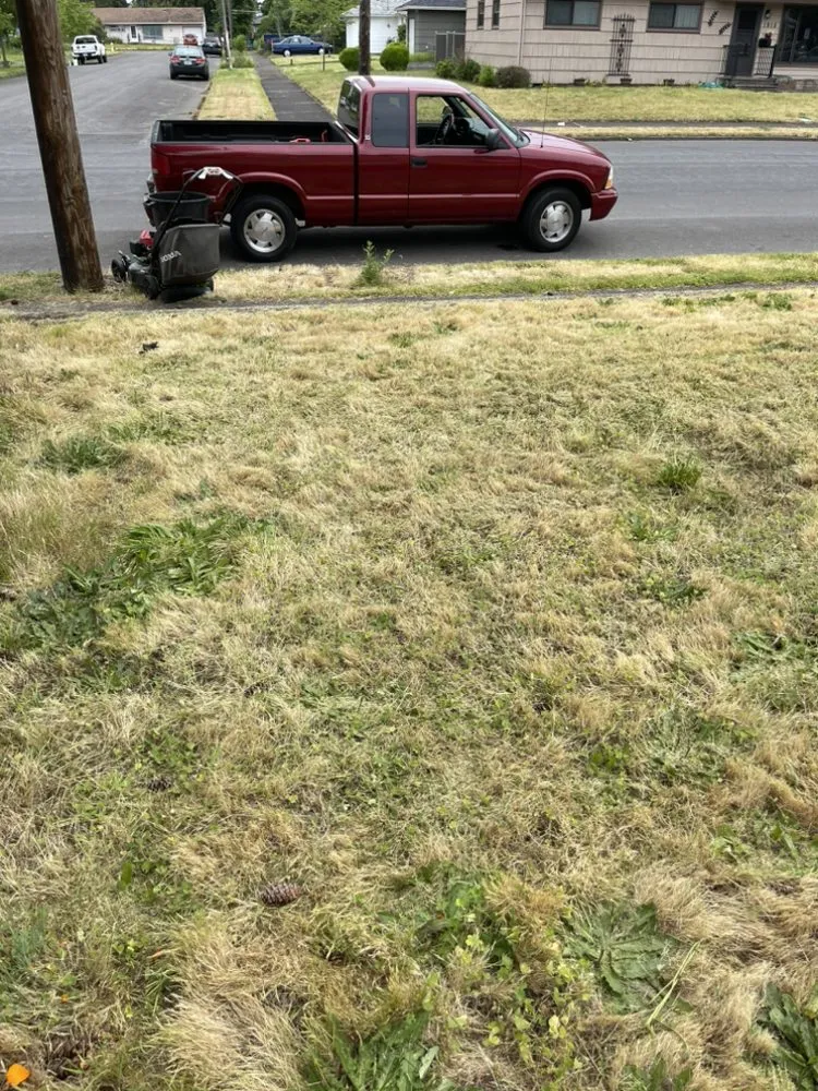 Top-rated landscaping services experts serving Vancouver, WA - José lanscape